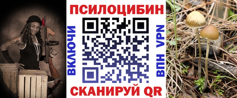 kraken как зайти  Воткинск  Галлюциногенные грибы ЛСД 